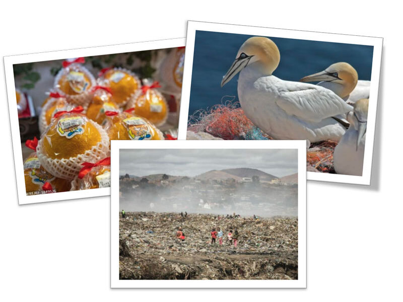 Photo-langage : Des photos qui parlent d’elles-même